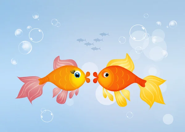 Cute red fishes