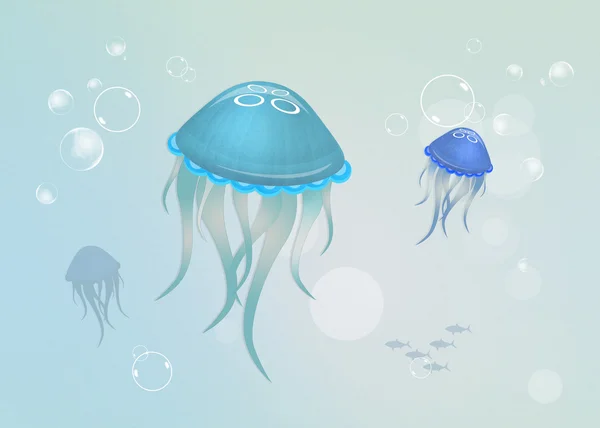 Jellyfishes in the aquarium