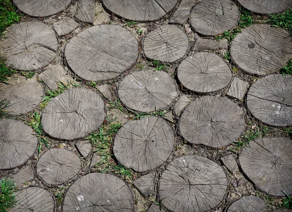 Pavement made from cross section of tree trunk