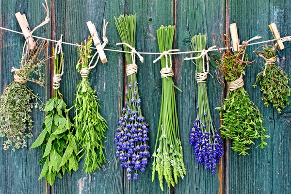 Various fresh herbs