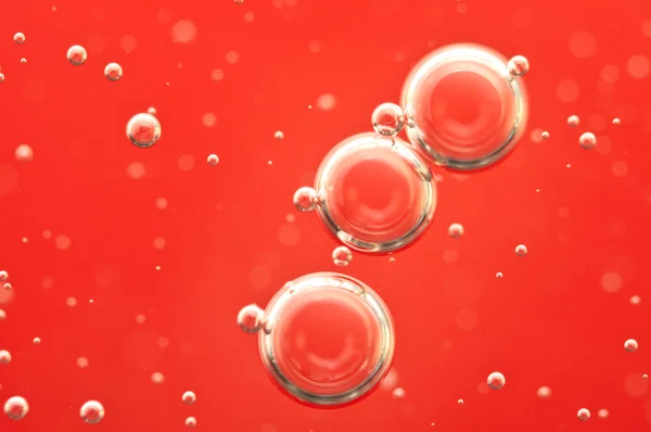 Air bubbles in a red liquid