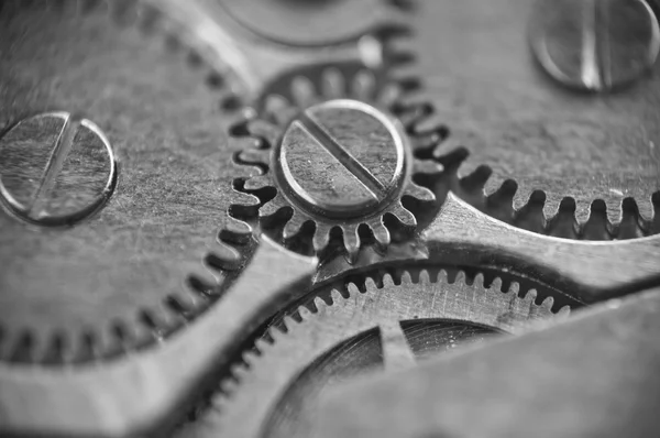 Metal cogwheels inside clockwork macro