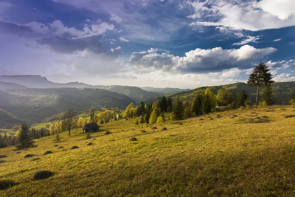 Carpathian Mountains in spring