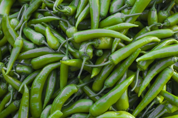 Green chillies background