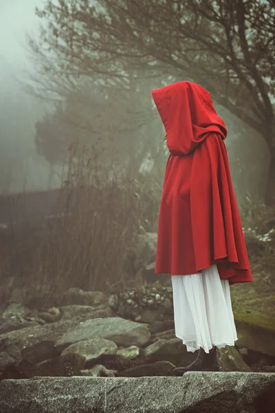 Woman with red cape in a misty landscape