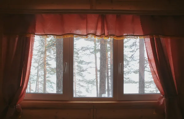 View of winter forest from house window