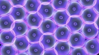 原核生物图库视频影像、免版税原核生物视频片