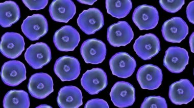 原核生物图库视频影像、免版税原核生物视频片