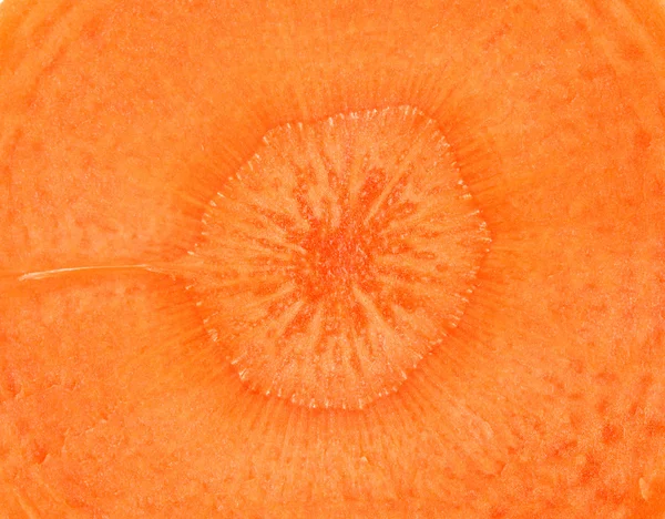 Close up of orange carrot slice center