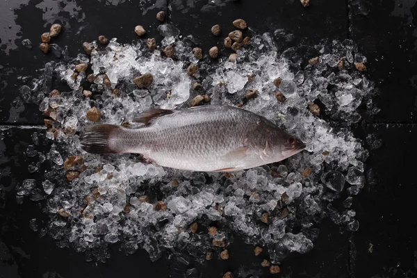 Fish on ice,Fresh fish with dark background
