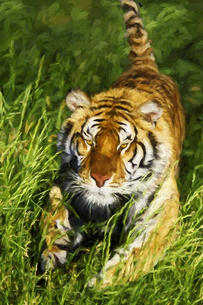 Impressionist art of Bengal Tiger (Panthera tigris tigris) charging through the grass