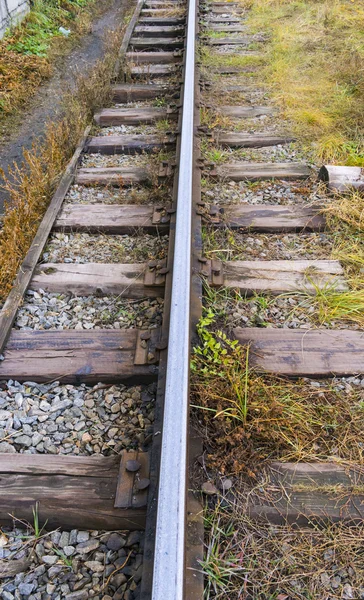 Old railroad with grass