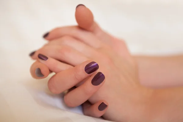 Pair of elegant hands with purple nail paint