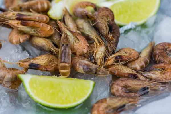 Fresh Shrimp Chilling on Tray of Ice with Lime