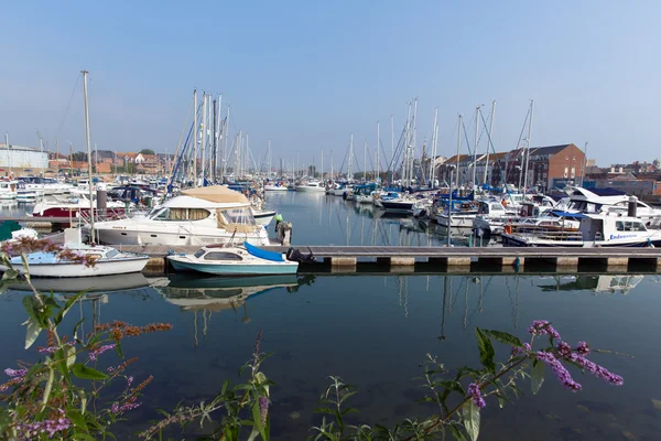 Weymouth Marina North Quay Dorset UK with pink flowers