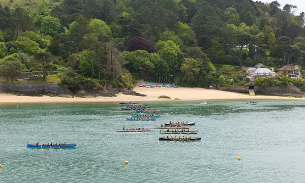 Pilot gig boat rowing and racing event at Salcombe Devon England UK