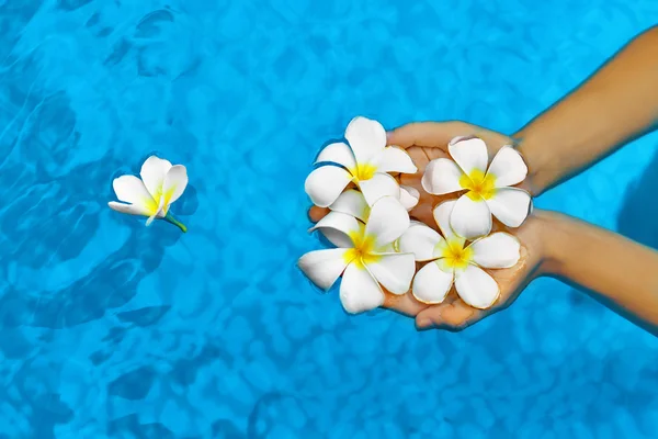 Woman Health. Summer. Spa Flowers Plumeria In Water. Wellness, Beauty