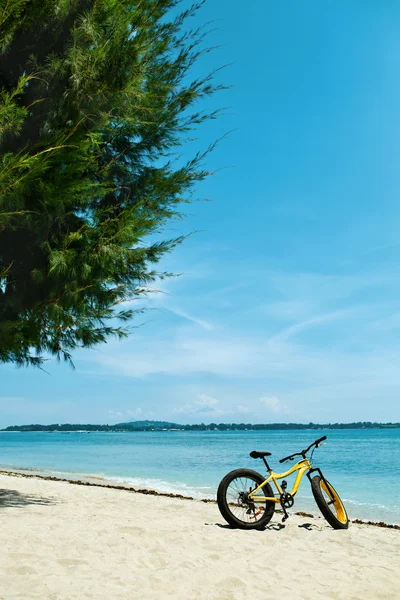 Summer Sport Equipment. Yellow Sand Bicycle Bike On Beach