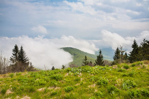 Clouds in the mountains HDR