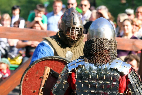 Medieval knights in battle