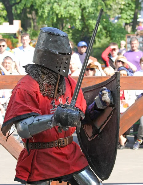 Medieval knight during battle