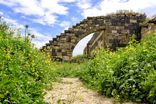 Spring time in Umm Qais, Jordan