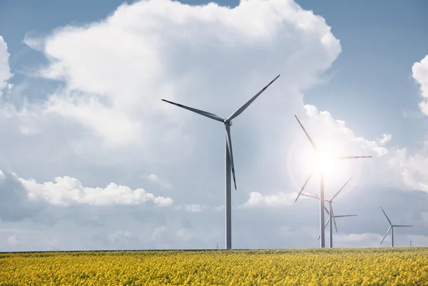 Wind power station at the yellow field