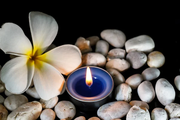 Plumeria flowers scented candles