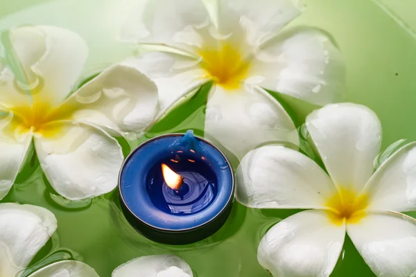Plumeria flowers scented candles