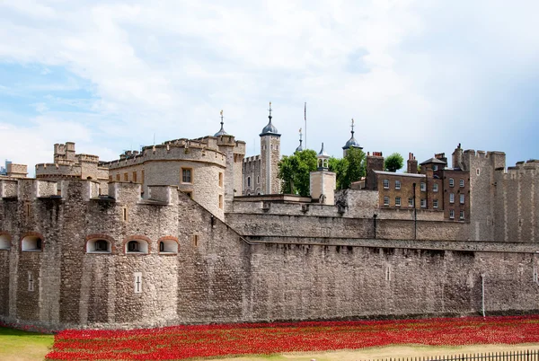 Tower of London with red flowerbed