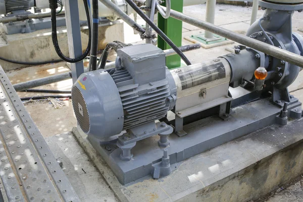 Induction motor with Centrifugal pumps