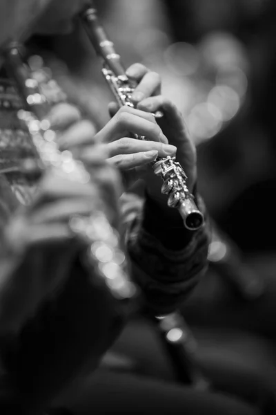 Flute in the hands of a musician in the orchestra closeup