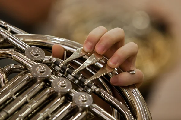 The fingers of the musician playing the French horn