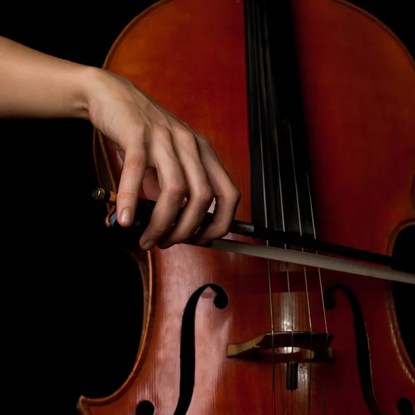 Hand of a woman playing the cello