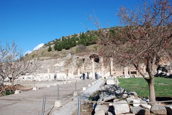 Ephesus, Izmir, Turkey, Middle East