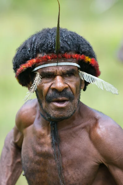 Papuan fighting dance