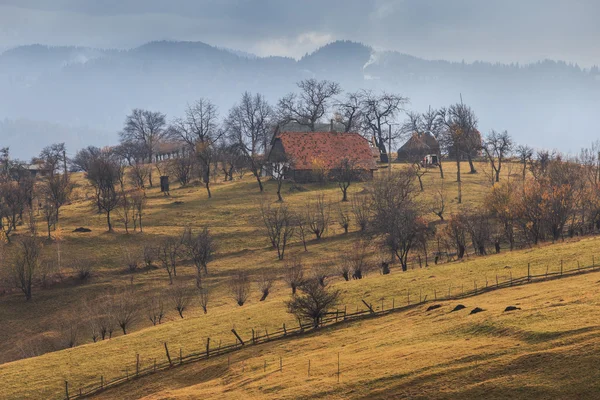 Autumn scenery in rural area