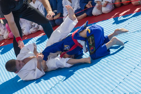 Young judo wrestlers 8-10 years on the demonstration performance