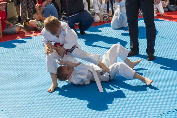 Young judo wrestlers 8-10 years on the demonstration performance