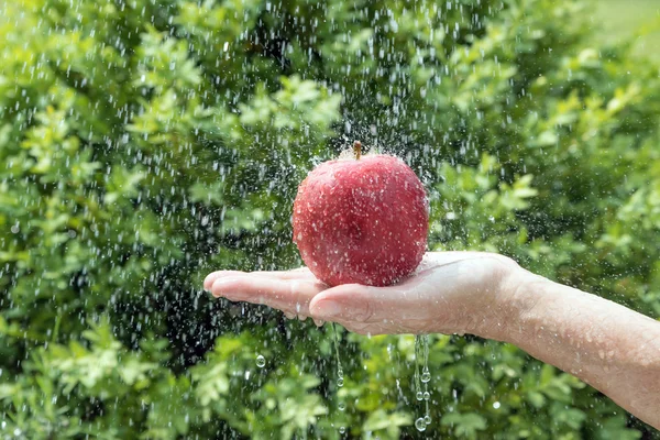 Hand is holding a red apple in the water stream