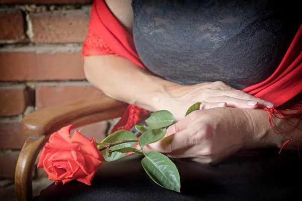 Hands of Flamenco dancer holding a red rose closeup