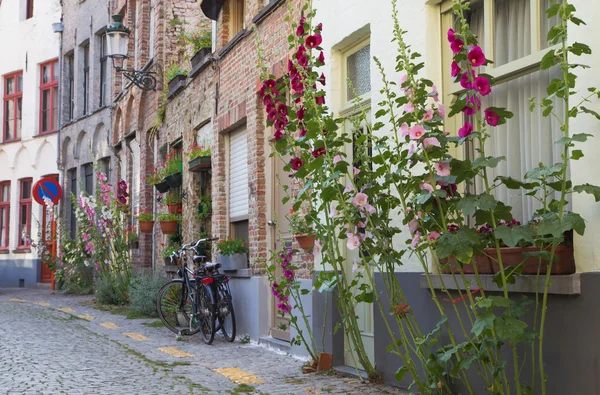 Empty street with flowers in Bruges