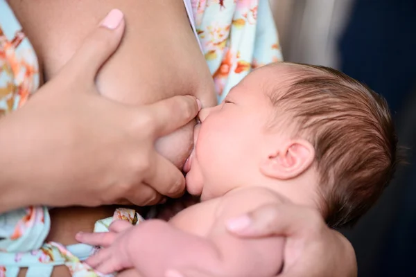 Newborn baby eats breast milk