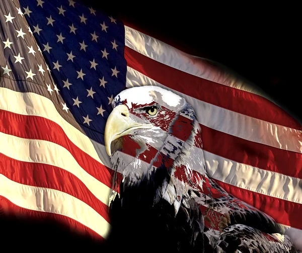 American Bald Eagle and US Flag