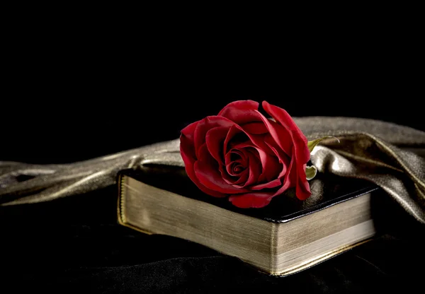 Red Rose laying on a Bible