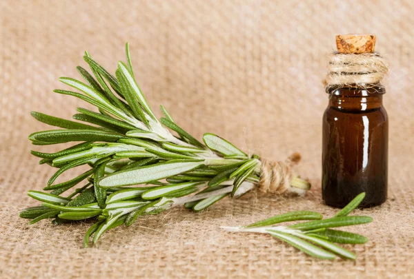 Fresh rosemary and a bottle of rosemary essential oil