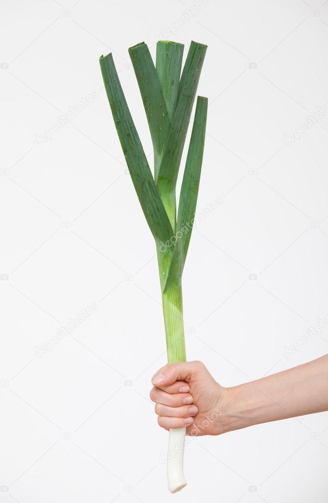depositphotos_82009580-stock-photo-hand-holding-a-leek.jpg