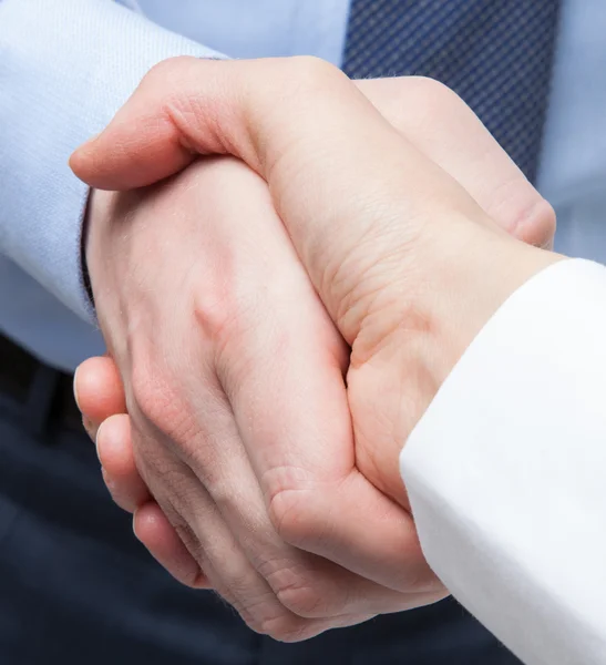 Business handshake close up