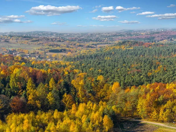 Panorama of  Krakow-Czestochowa Upland