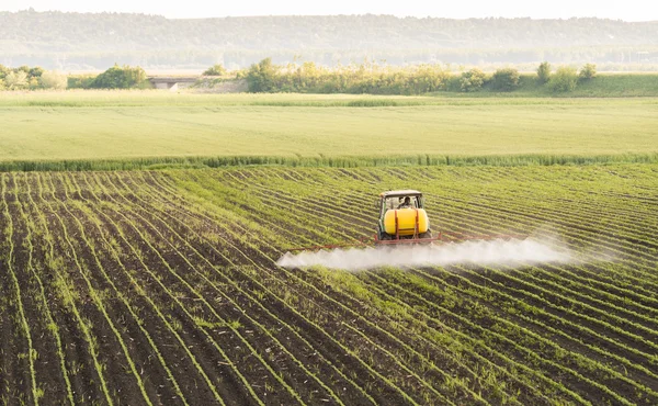 Tractor spraying soybean field